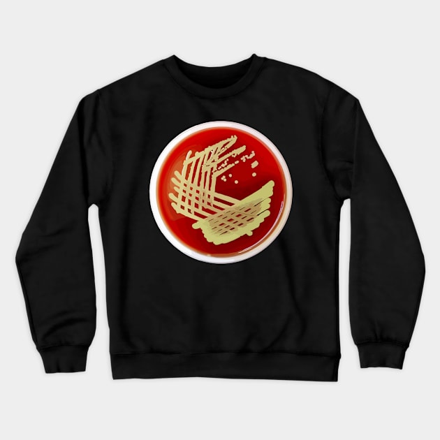 Bacterial Culture Streaks E.coli Petri Dish in Microbiology Lab Gold Red Yellow Crewneck Sweatshirt by labstud